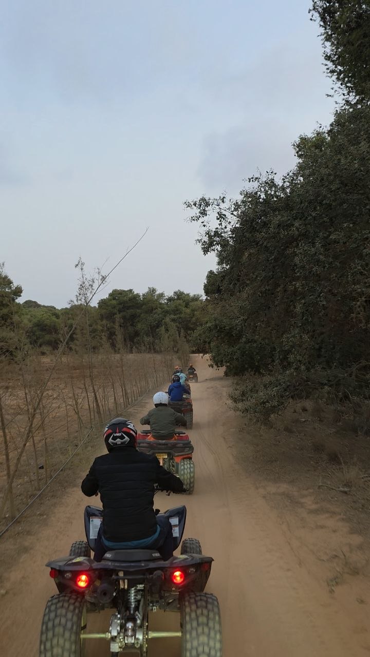 ATV riders on trail