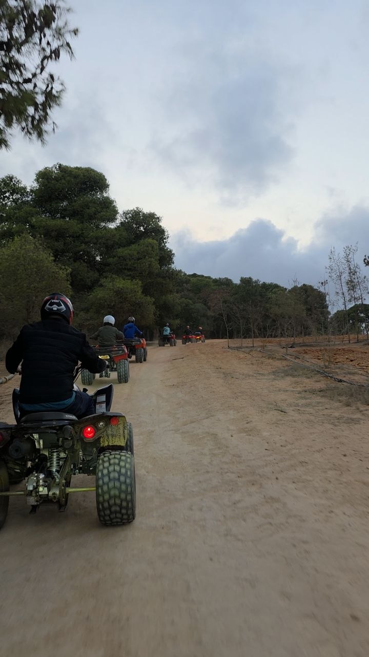 Forest trail adventure